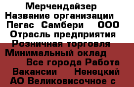 Мерчендайзер › Название организации ­ "Пегас" Самбери-3, ООО › Отрасль предприятия ­ Розничная торговля › Минимальный оклад ­ 23 500 - Все города Работа » Вакансии   . Ненецкий АО,Великовисочное с.